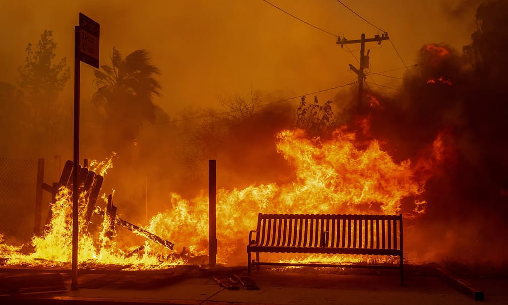 Destruction in California: Why Did the LA Fires Spread So Rapidly