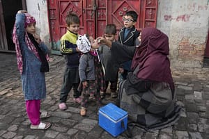 Polio Cases in 2024 Reach 71 with New Infection in Jacobabad