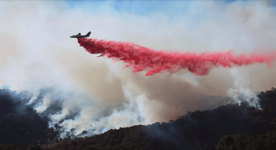 LA Firefighters Battle Blazes as Winds Rage, Death Toll Hits 16